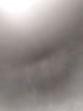 Snapshot of Axelitoc chatting on February 2026 02:28:02 PM Axelitoc online show from February 2026 02:28:02 PM