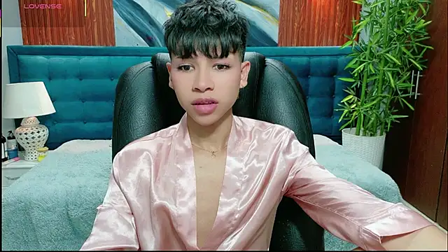 dilan 911 online show from February 2026 06:41:01 PM