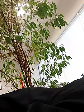 Emily de Carla online show from September 2025 03:29:01 PM