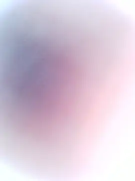 Punam ji online show from November 2025 01:26:01 PM