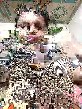 Payel 50 online show from May 2026 04:28:01 PM