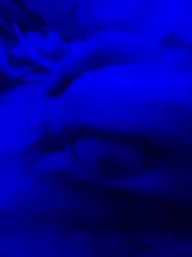 Derfick200 online show from December 2025 07:26:01 PM