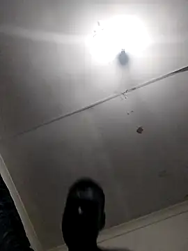 TmanZim2025 online show from April 2026 07:19:01 PM