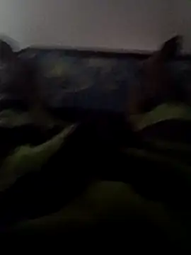 ceyloanboy online show from May 2026 01:56:01 AM