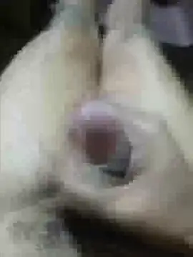 Vizgeboys online show from March 2026 09:33:01 AM