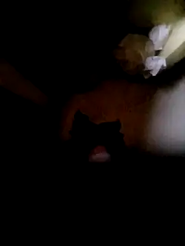 Vizgeboys online show from October 2025 12:52:02 AM