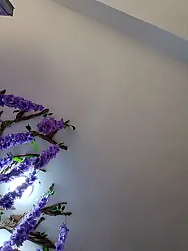 burbuja02 online show from April 2026 02:35:01 PM