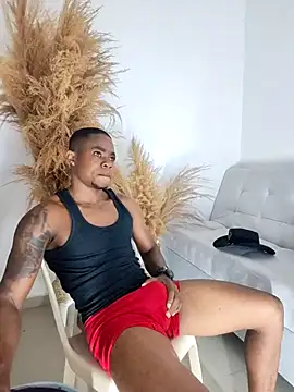 Snapshot of liambolt chatting on October 2025 12:33:02 AM liambolt online show from October 2025 12:33:02 AM