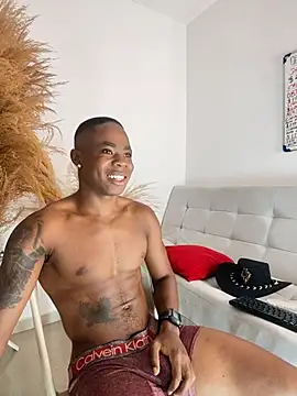 Snapshot of liambolt chatting on October 2025 11:38:02 PM liambolt online show from October 2025 11:38:02 PM