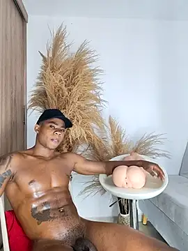 Snapshot of liambolt chatting on October 2025 12:27:01 PM liambolt online show from October 2025 12:27:01 PM