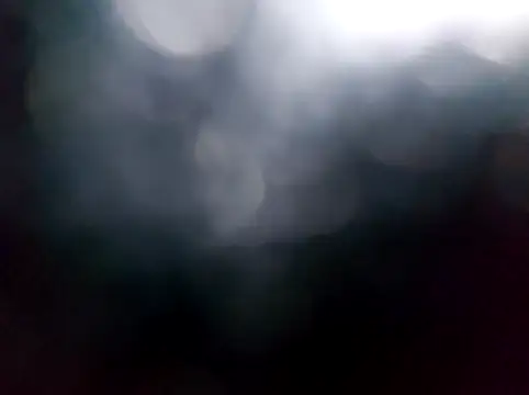 RaoufDz17cm online show from December 2025 01:38:02 PM