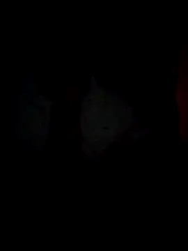 Chathutharu online show from February 2026 10:01:02 PM