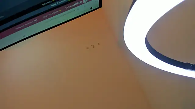 Snapshot of ChannelWhite_ chatting on February 2026 08:19:01 PM ChannelWhite online show from February 2026 08:19:01 PM