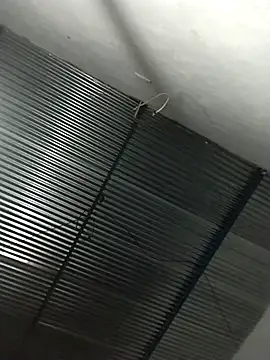 lucerocutte online show from November 2025 06:07:01 AM