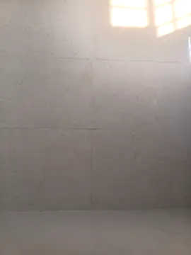 VJ17 online show from November 2025 11:03:02 AM