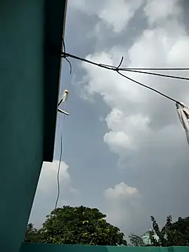 Odiya dick01 online show from October 2025 08:57:01 AM