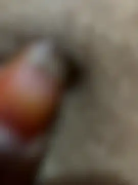 Telugu sex  online show from November 2025 01:48:02 AM
