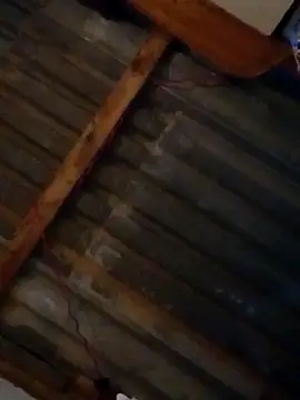 Snapshot of LUISSLEONN0958 chatting on September 2025 09:04:01 AM LUISSLEONN0958 online show from September 2025 09:04:01 AM