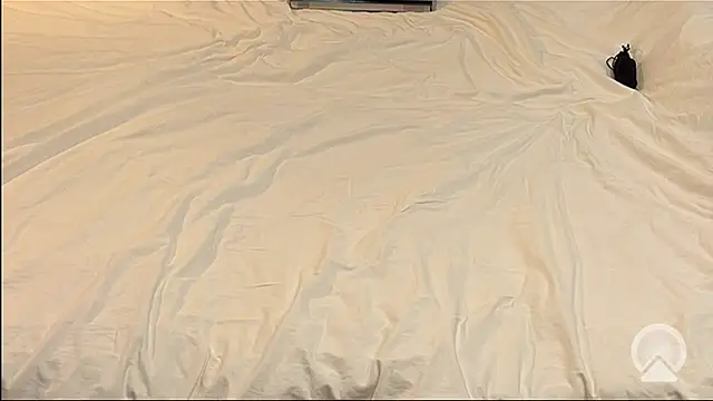 myPriority01 online show from January 2026 01:40:02 PM