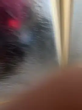 LicitInvader online show from February 2026 08:03:01 AM