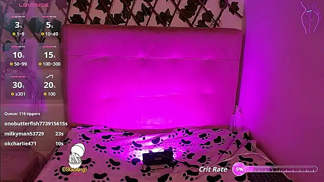 shelbygp online show from November 2025 12:38:01 PM