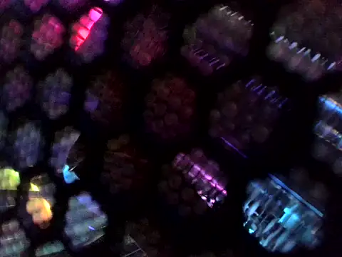 Wyrolowanyyy online show from April 2026 12:27:01 AM