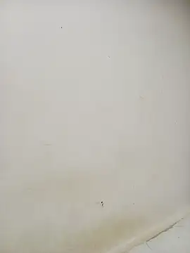 Dani 34velan online show from September 2025 04:58:02 AM