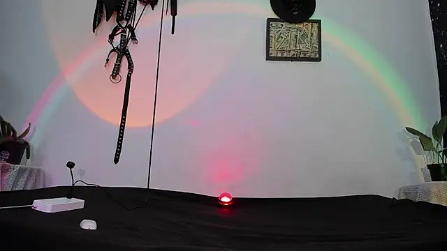 dex 55 online show from May 2026 10:27:01 PM