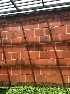 Andrew Johnnson online show from October 2025 04:50:02 PM