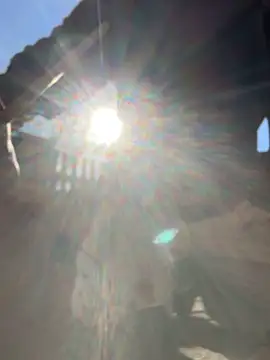 Snapshot of Mexxwell69 chatting on November 2025 11:47:01 AM Mexxwell69 online show from November 2025 11:47:01 AM