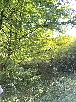 Snapshot of Mexxwell69 chatting on September 2025 03:12:02 PM Mexxwell69 online show from September 2025 03:12:02 PM