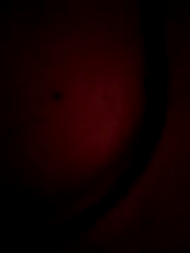 Snapshot of Nusrat-Q chatting on October 2025 06:06:01 AM Nusrat-Q online show from October 2025 06:06:01 AM