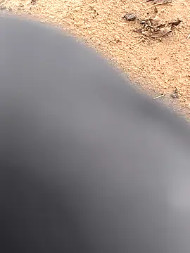 rajdehli online show from October 2025 10:51:01 AM