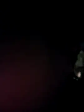 Suhana pandit online show from October 2025 11:17:01 PM