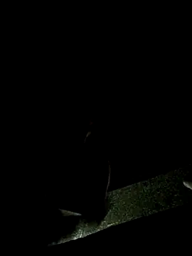 Snapshot of Lawrence067 chatting on November 2025 01:31:01 AM Lawrence067 online show from November 2025 01:31:01 AM