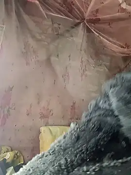 priyastrip314 online show from January 2026 05:16:02 PM