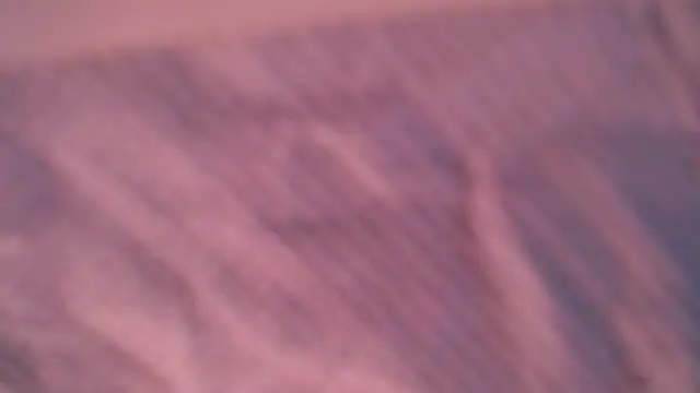 Snapshot of Liz_Hu chatting on October 2025 04:30:01 PM Liz Hu online show from October 2025 04:30:01 PM