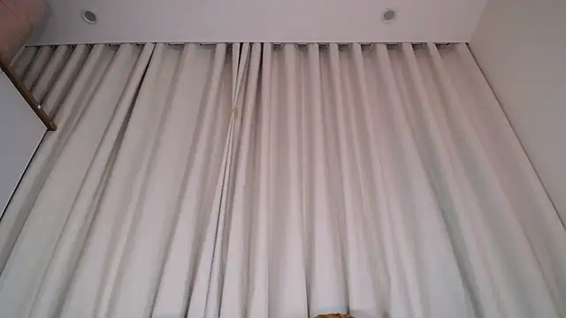 Snapshot of Liz_Hu chatting on February 2025 10:21:01 AM Liz Hu online show from February 2025 10:21:01 AM