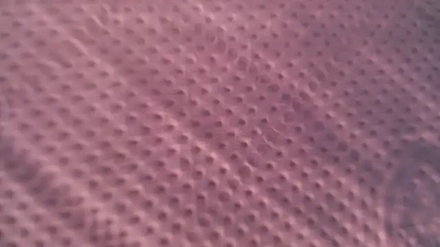 Snapshot of Liz_Hu chatting on October 2025 12:49:01 PM Liz Hu online show from October 2025 12:49:01 PM