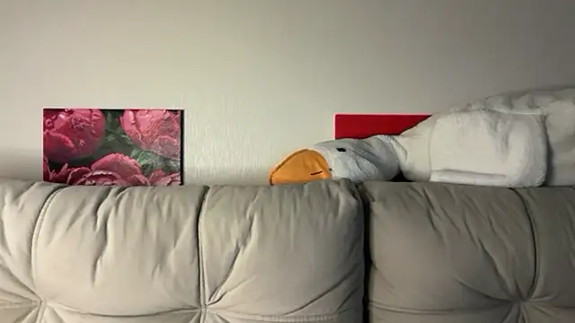 StellarAlice online show from May 2026 08:26:01 PM