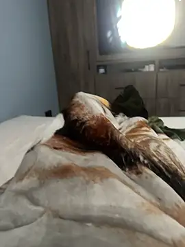 Xarkomm online show from February 2026 01:33:02 PM