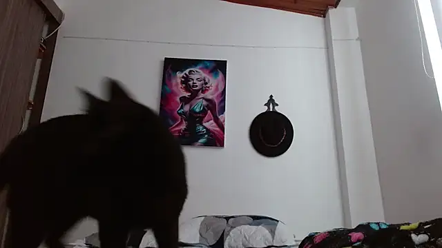 Crystal Star  online show from March 2026 12:54:01 PM