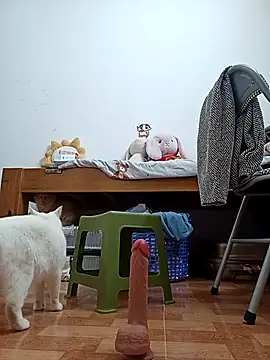 Snapshot of July-Asian chatting on December 2025 12:44:01 AM July-Asian online show from December 2025 12:44:01 AM