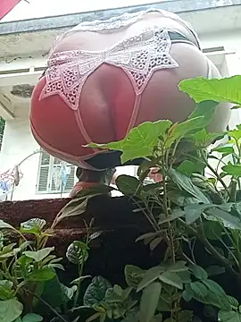 July-Asian online show from May 2026 12:54:01 AM