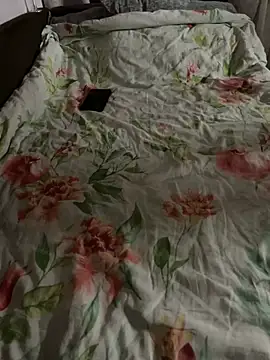 Avtodig online show from February 2026 08:08:02 PM