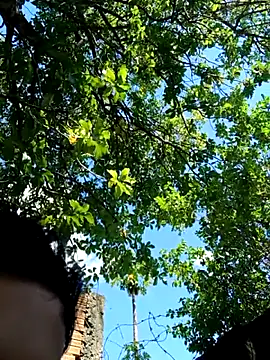 novinho safado   online show from December 2025 05:55:02 PM