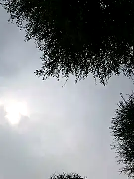 Desiandaj online show from November 2025 04:01:02 AM