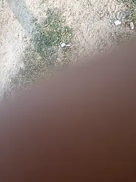 Desiandaj online show from November 2025 02:44:02 AM