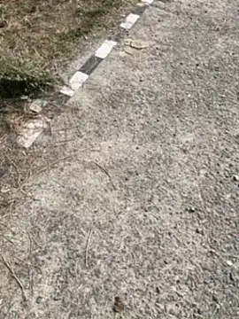 Desiandaj online show from November 2025 07:53:01 AM