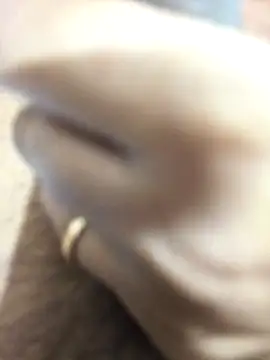 Priyankacam online show from March 2026 05:56:02 AM